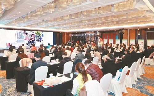 第六屆江蘇志愿服務(wù)展示交流會在泰舉行 企業(yè)形象策劃如何借力公益平臺